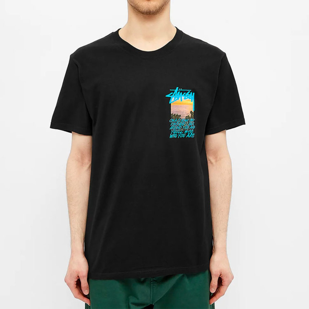 Stussy Clear Day T