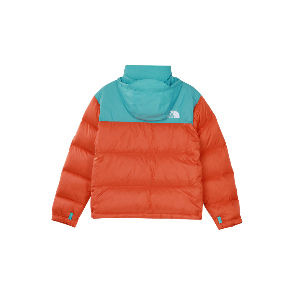 THE NORTH FACE 1996 Retro Nuptse 700
