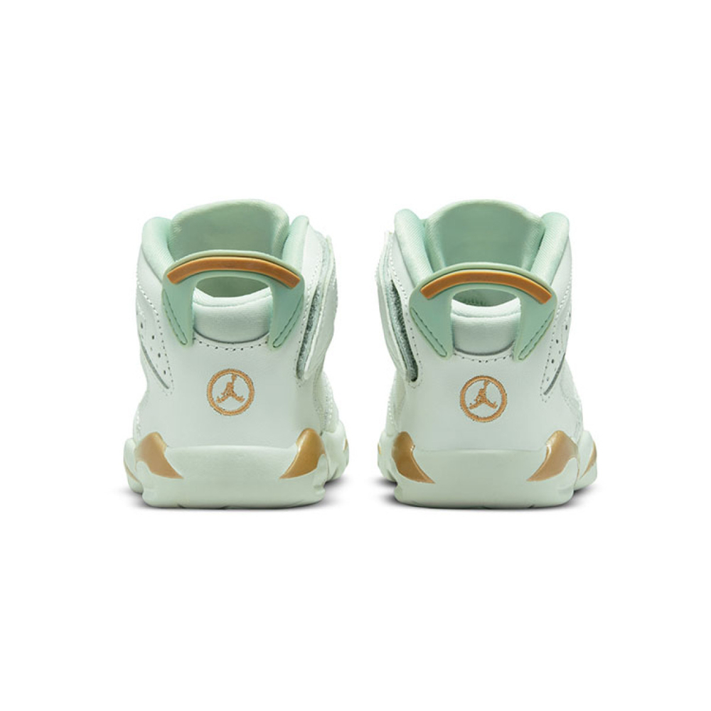 Jordan Air Jordan 6 LTL Flex GC