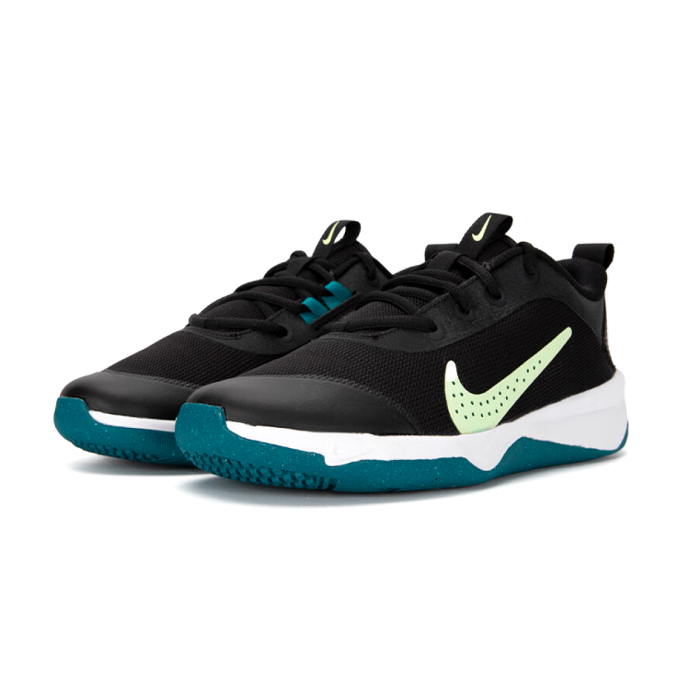 Nike Omni Multi-Court