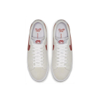 Nike Blazer SB Zoom GT