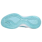 Anta