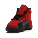 Jordan Air Jordan 12