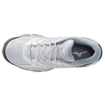 Mizuno Pro