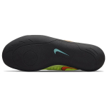 Nike Zoom Rival SD 2