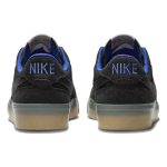 Nike SB Zoom Pogo Plus