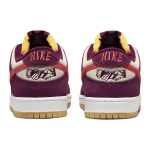 Skate Like a Girl x Nike Dunk SB qs