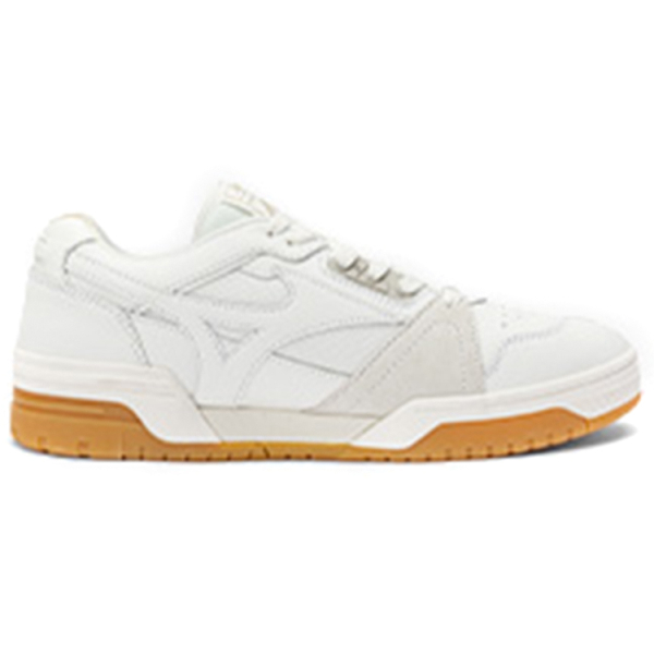 Mizuno Court