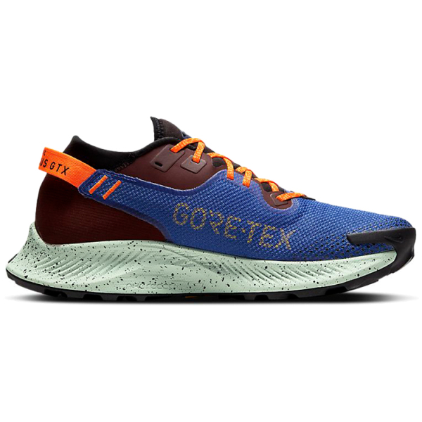 Nike Pegasus Trail 2 Zoom GORE-TEX