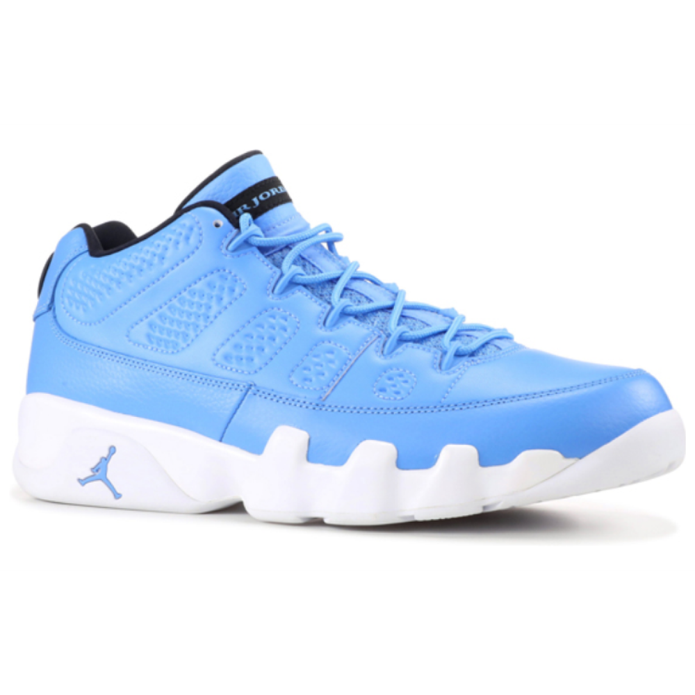 Jordan Air Jordan 9 Retro Low Pantone