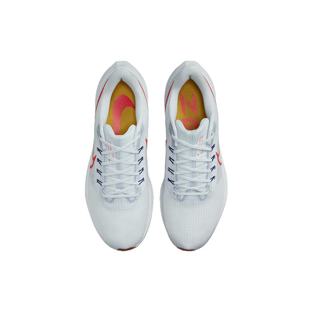 Nike Air Zoom Pegasus 39