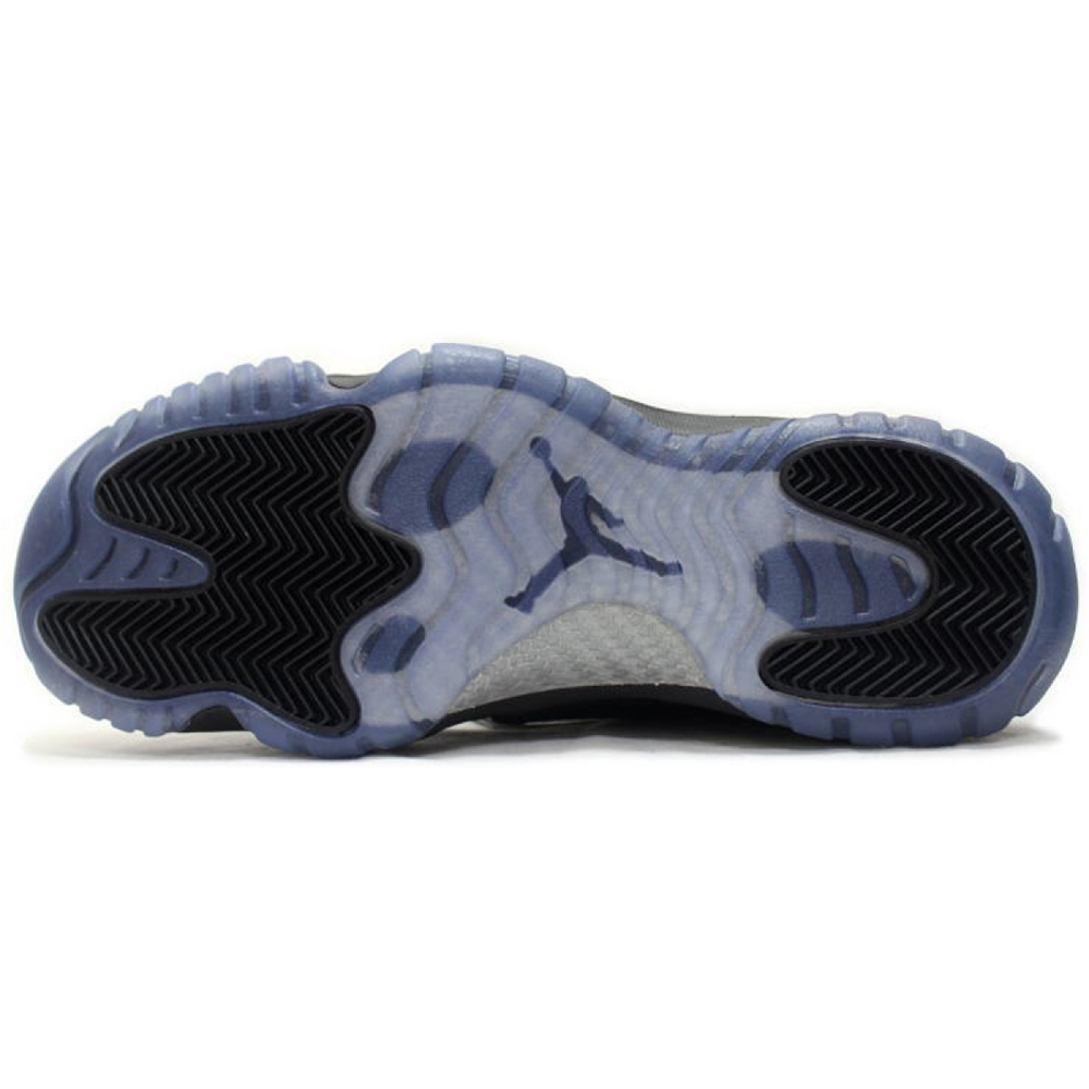 Jordan Future Low Gamma