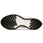 Nike Pegasus turbo 2