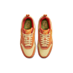Nike Air Max 1