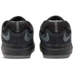 Nike SB Ishod