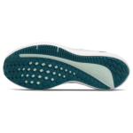 Nike Zoom Winflo 9