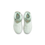 Jordan Air Jordan 6 Retro LTL Flex GC