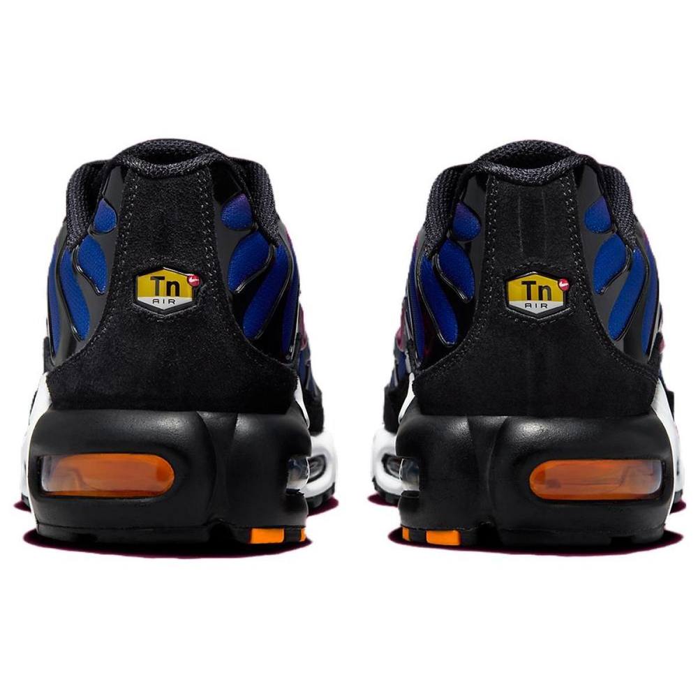Patta x Nike Air Max Plus