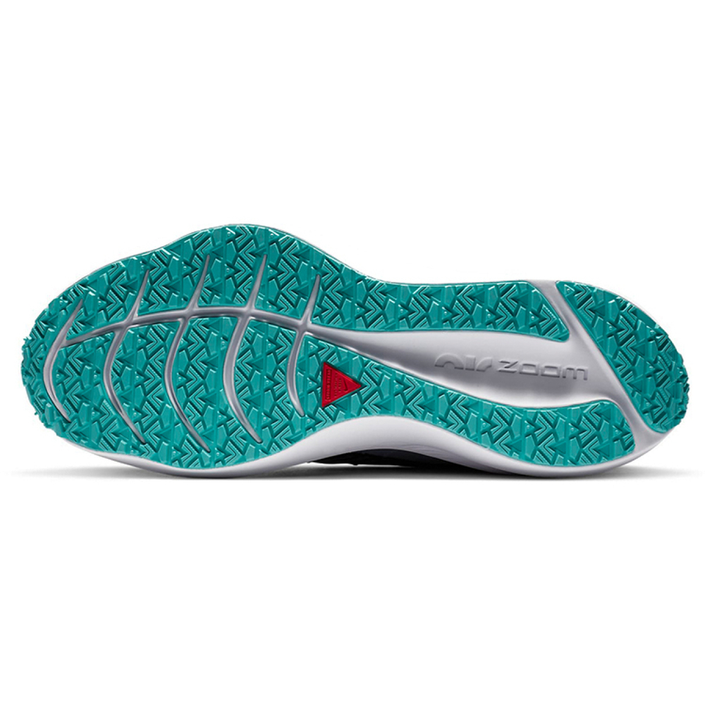 Nike Zoom Winflo 7 Shield