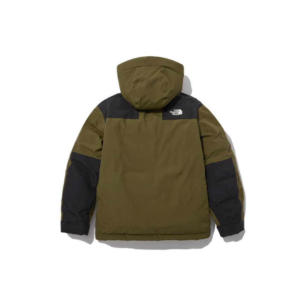 THE NORTH FACE dryvent Logo