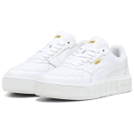 PUMA Court