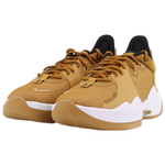 Nike PG 5