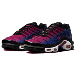 Patta x Nike Air Max Plus