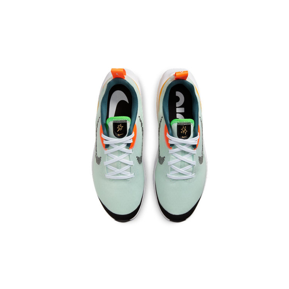 Nike Air Zoom Arcadia 2