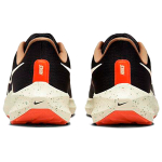 Nike Air Zoom Pegasus 39