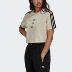Adidas originals Crop Tee Logo T