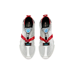 Anta