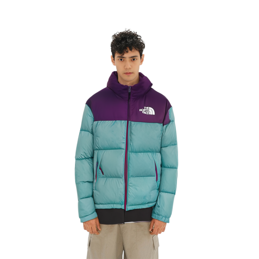 THE NORTH FACE 1996 Retro Nuptse 700
