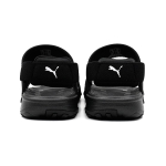 Puma Summer Cat