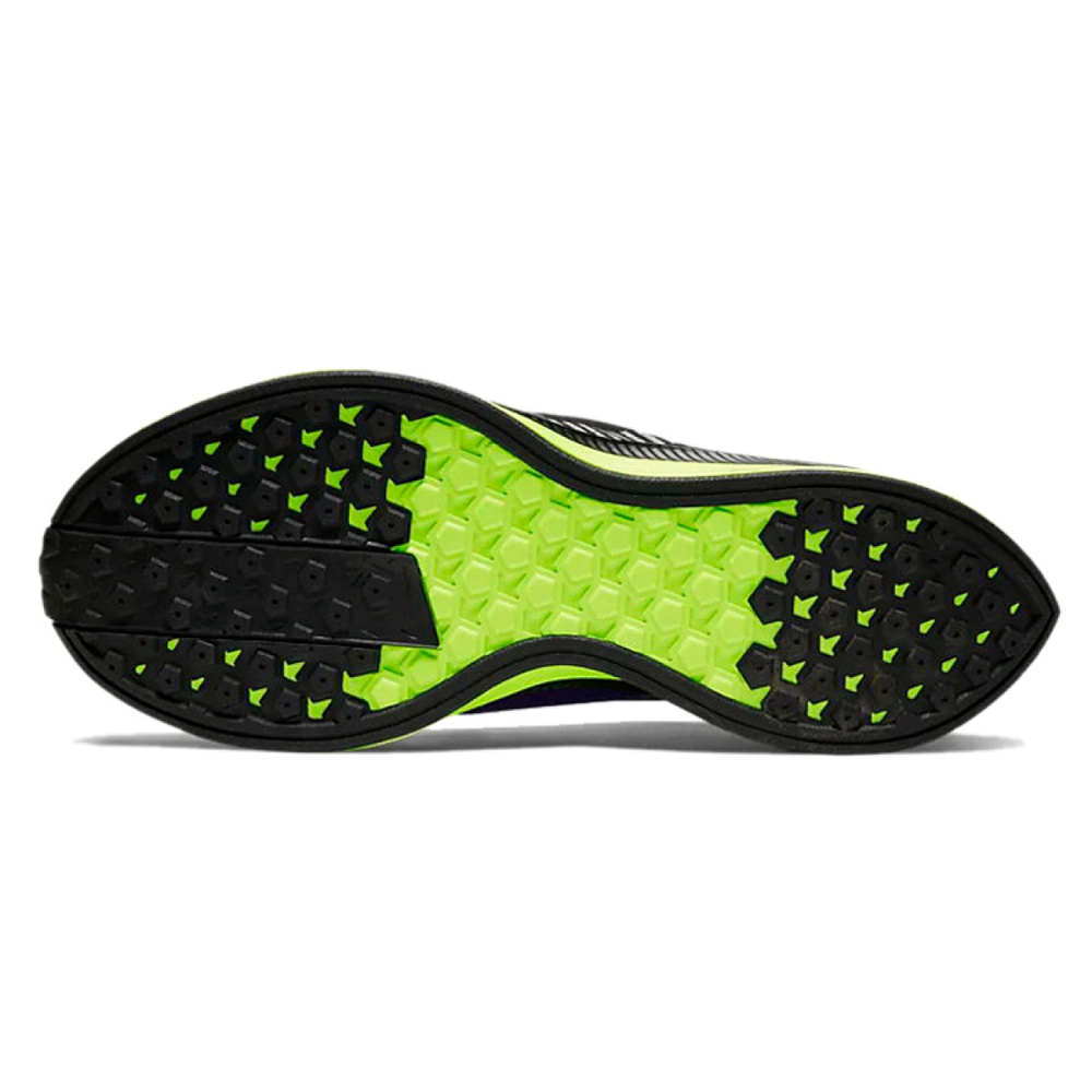 Nike Pegasus Turbo Shield Zoom