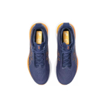 Asics GEL-Nimbus 25