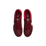 Nike Legend 9 Academy AG（ ）