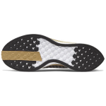Nike Pegasus turbo 2