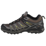 SALOMON X Ultra Pioneer