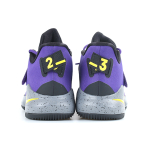 Nike Ambassador 12