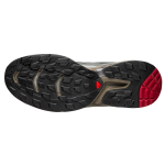 SALOMON XT-Wings 2