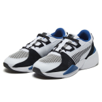 PUMA Zeta Function