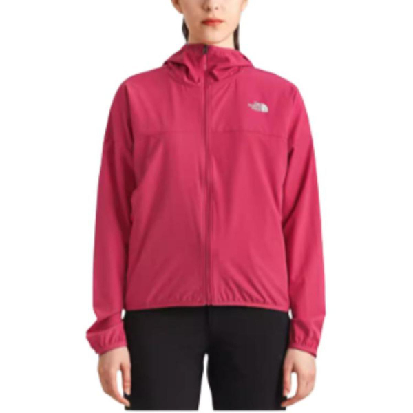 THE NORTH FACE log