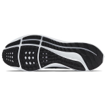 Nike Air Zoom Pegasus 39