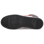 PUMA RBD Game