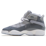 Jordan Air Jordan 6 Rings Cool Grey