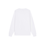 Champion FW23 Rochester Logo