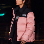 THE NORTH FACE 1996 Retro Nuptse 1996 700