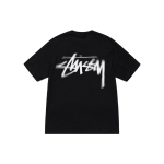 Stussy FW23 DIZZY STOCK TEE T