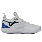 Mizuno Wave Momentum 2