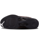 Jordan Air Jordan 29